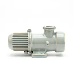 Auxiliary pump