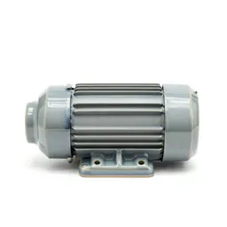 Electric motor