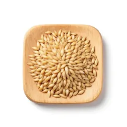 Barley water