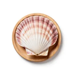 Coquille