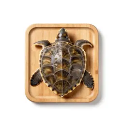 Mock turtle soup