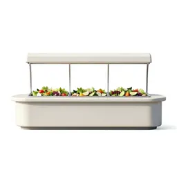 Salad bar