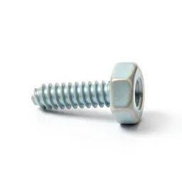Bolt