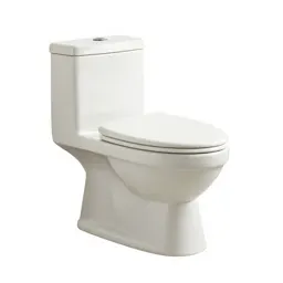 Flushless toilet