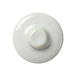 Hasp