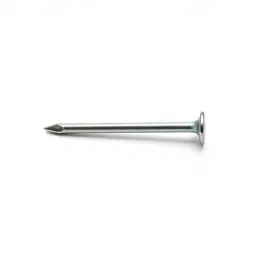 Nail