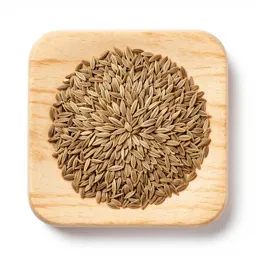 Caraway seed