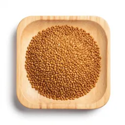 Fenugreek