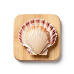 Scallopine
