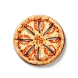 Anchovy pizza