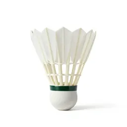 Badminton equipment