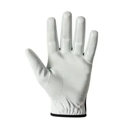 Golf glove