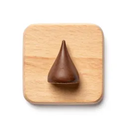 Chocolate kiss
