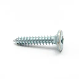 Screw