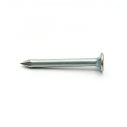 Sixpenny nail