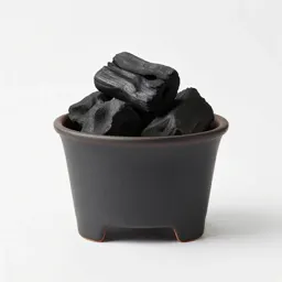 Charcoal burner