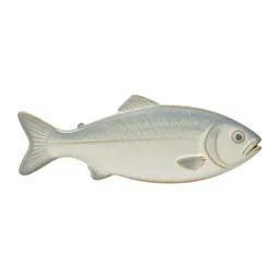 Fish slice