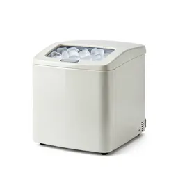 Ice maker