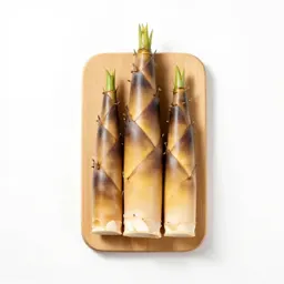 Bamboo shoot