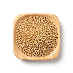 Barleycorn