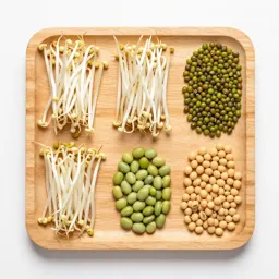 Bean sprout
