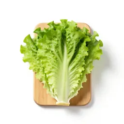 Butterhead lettuce