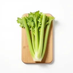 Celery