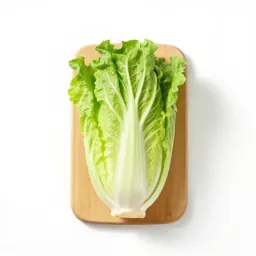 Celtuce