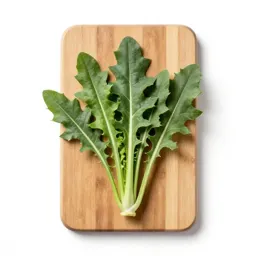 Chicory