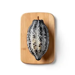 Cocoa plum