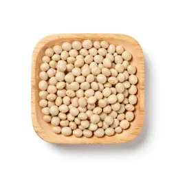 Common bean