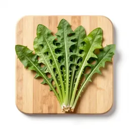 Dandelion green