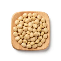 Fava bean