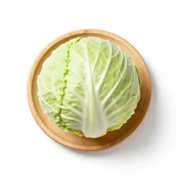 Head cabbage