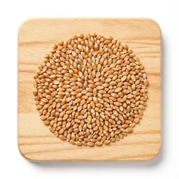 Kernel