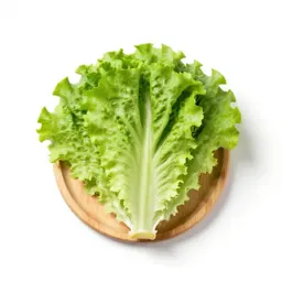 Leaf lettuce