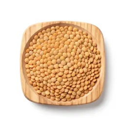 Lentil