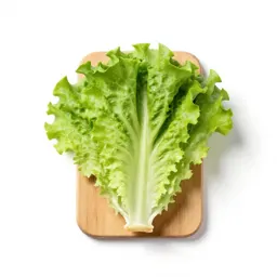 Lettuce