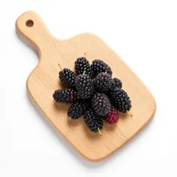 Mulberry