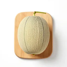 Net melon