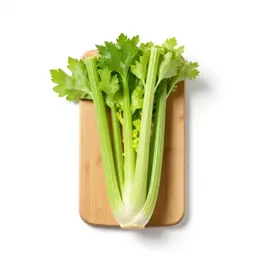 Pascal celery