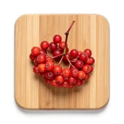 Rowanberry