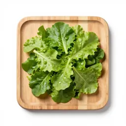 Salad green