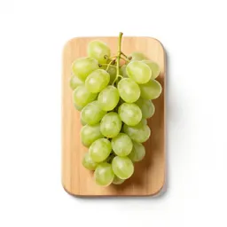 Scuppernong