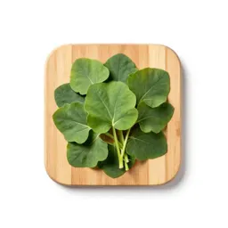 Solanaceous vegetable