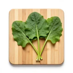 Sorrel