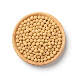 Soy