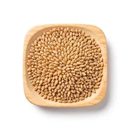 Wheat berry