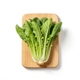Winter cress