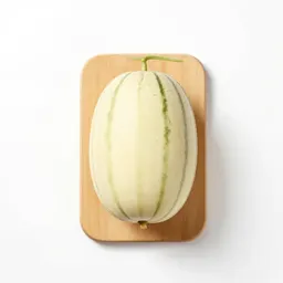 Winter melon